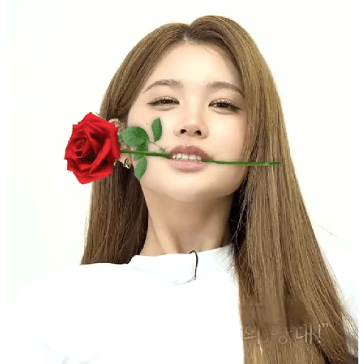 H2H MEME HEARTSTOHEARTS