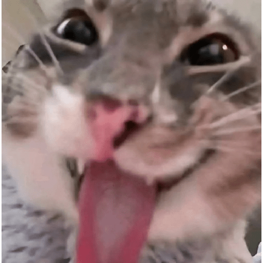 REACTION TIKTOK TERBARU  18