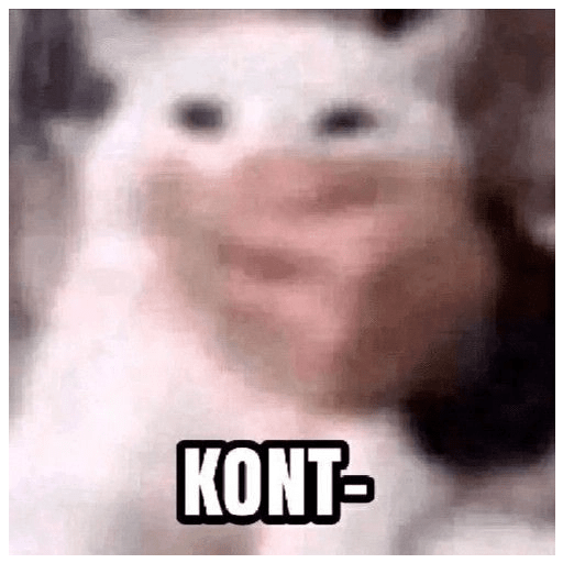 MEME KUCING VIRAL TERBARU 4