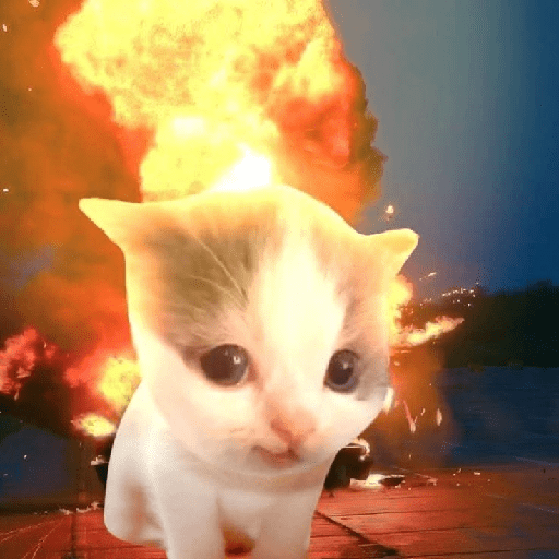 MEME KUCING VIRAL TERBARU 13