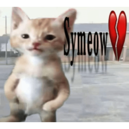 MEME KUCING VIRAL TERBARU 15