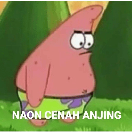 PATRICK MEME 14
