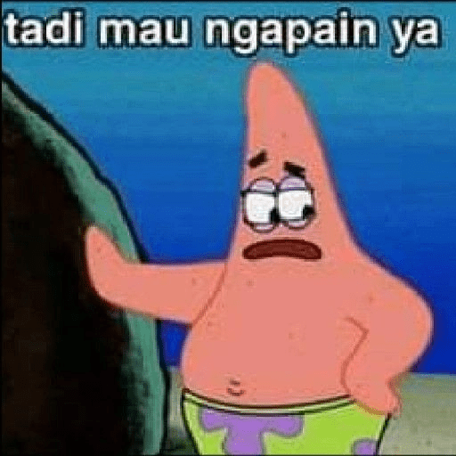 PATRICK MEME 27