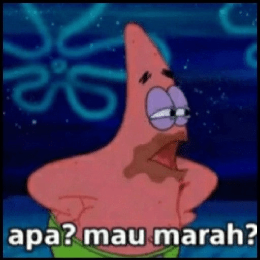 PATRICK MEME 28