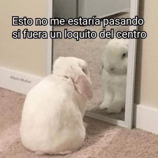 🐰Stickers Conejitos perrones🐰 15