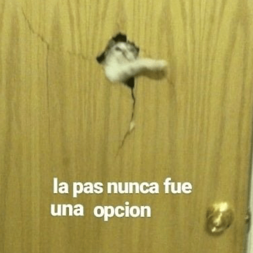 MEMESITOS PARA TI MOR🫶🏻🫶🏻😎😎🦦 6
