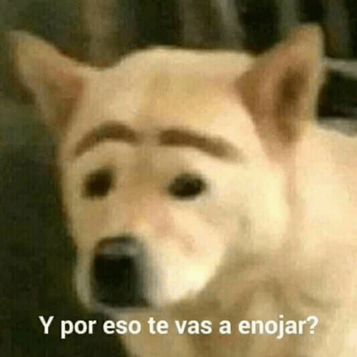 MEMESITOS PARA TI MOR🫶🏻🫶🏻😎😎🦦 15
