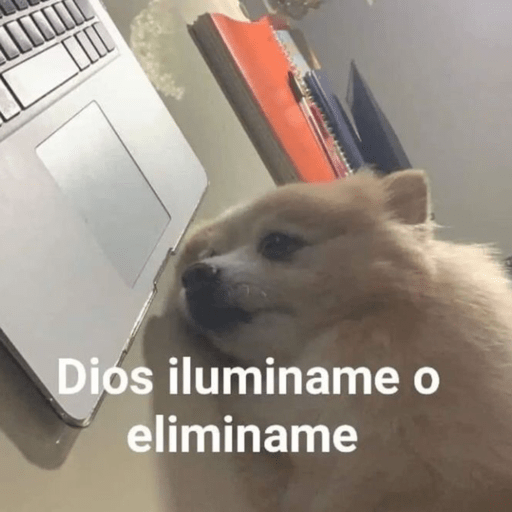 MEMESITOS PARA TI MOR🫶🏻🫶🏻😎😎🦦 7