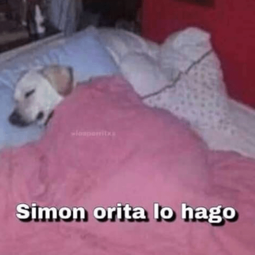 MEMESITOS PARA TI MOR🫶🏻🫶🏻😎😎🦦 14