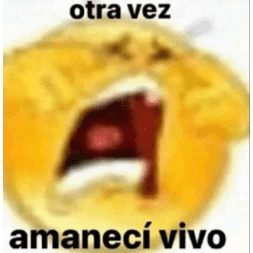 💛🤣BOLITA AMARILLA💛🤣 5