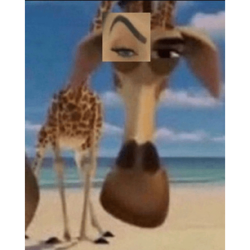 Memes Random3 By Gizmo  6