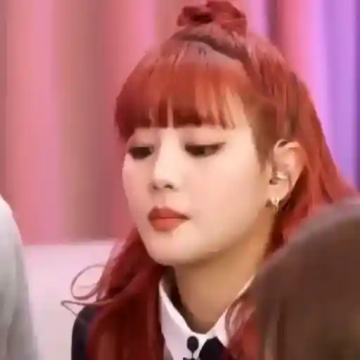 𑊔۟٭౿ Minnie ﹠ Sansa. ׄ✦𝅄 5