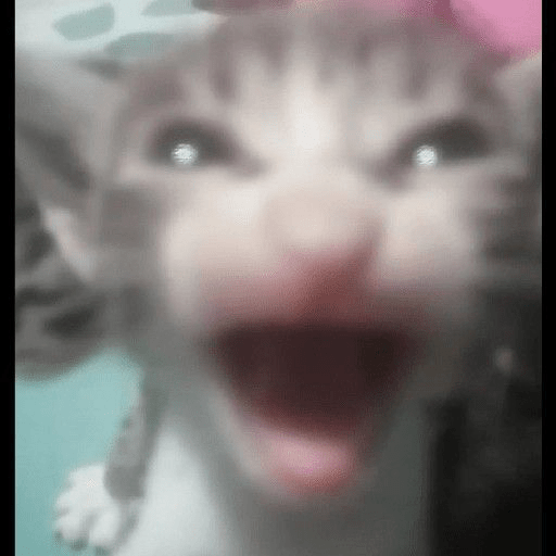 Momazosmariana 25