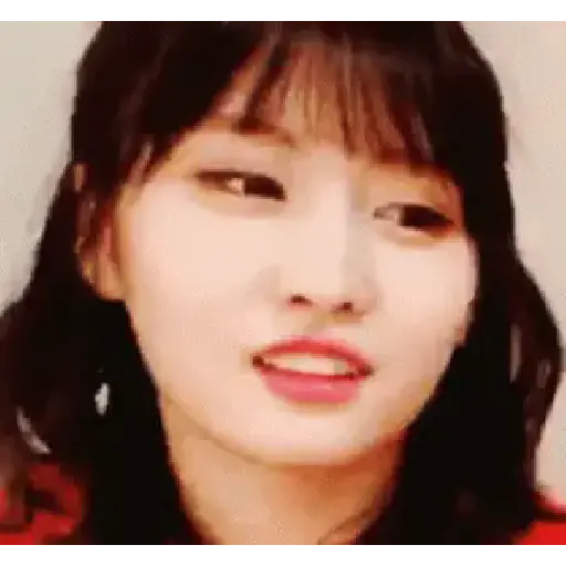 Twice animados 24
