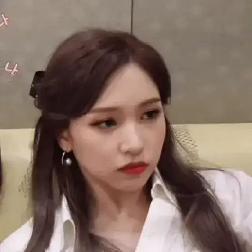 Twice animados 16