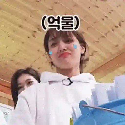 Twice animados 21