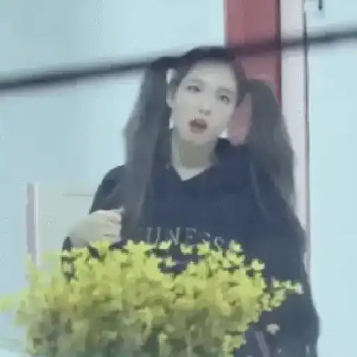 Twice animados 27