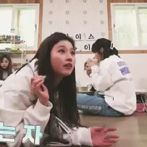 Twice animados 8