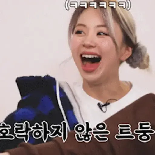 Twice animados 13