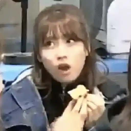 Twice animados 23