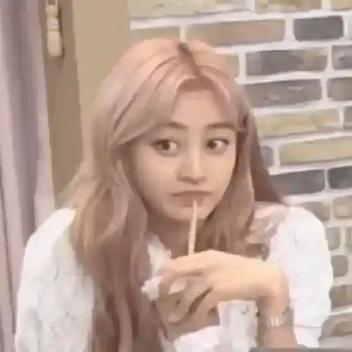 Twice animados 19