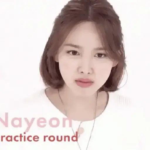 Twice animados 28