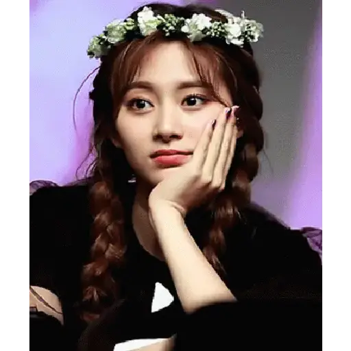 Twice animados 2