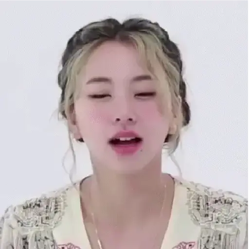 Twice animados 15