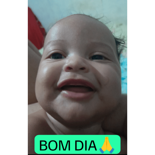 NOVOS 21