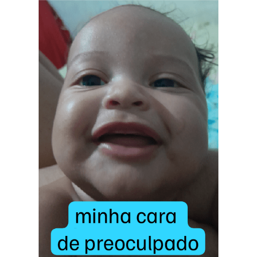 NOVOS 22