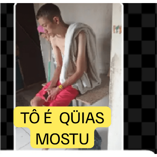 NOVOS 12