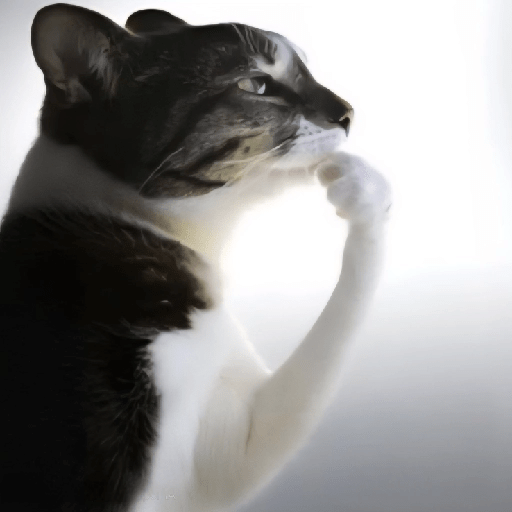 ⍟❦༒ Gatos ༒❦⍟ 2