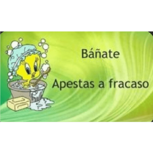 Kkkk 11