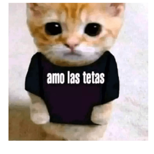 Kkkk 21