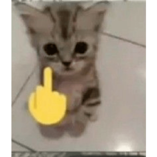 Kkkk 6