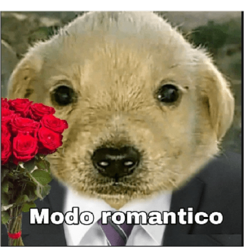 Kkkk 5