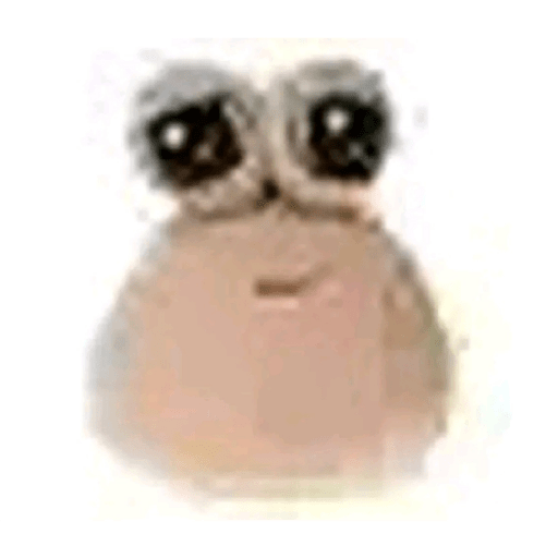 Kkkk 26