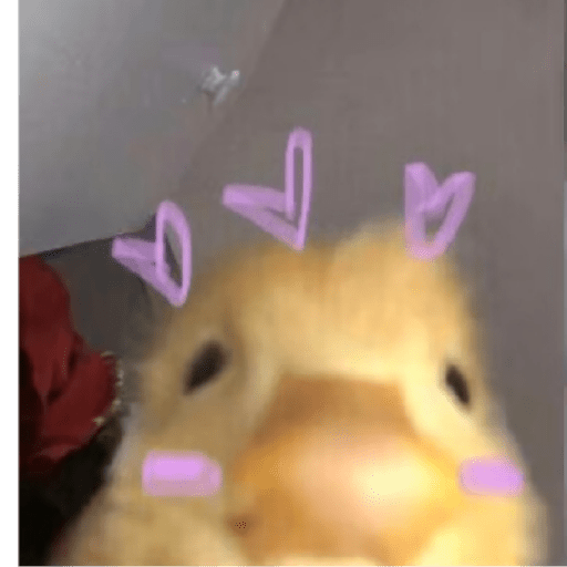Kkkk 25