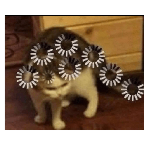 Kkkk 30