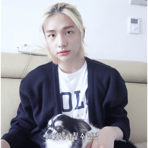 〆Hwang hyunjin 2