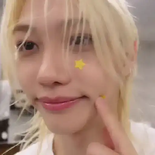 STRAY KIDS LOVE #4 29