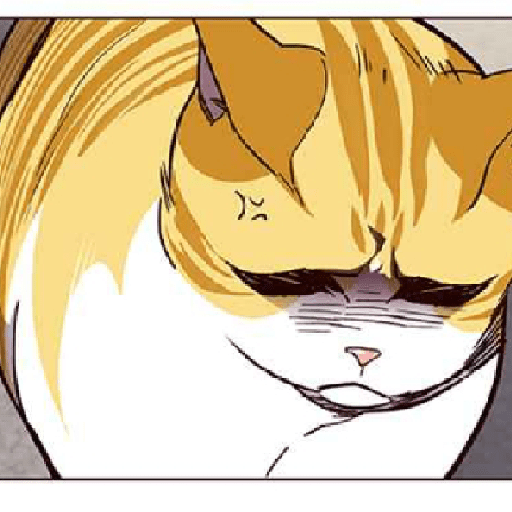 ⩍ ⩍ׅ   ⛓ㅤֺ Kayden Cat. 1﹝ S/F﹞ 14