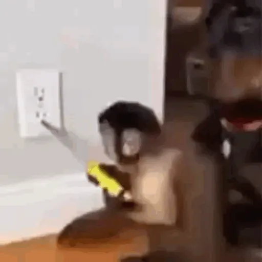 DuduXGif12 23