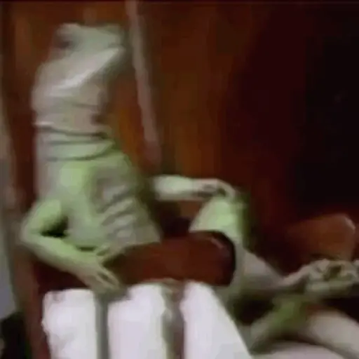 DuduXGif12 22