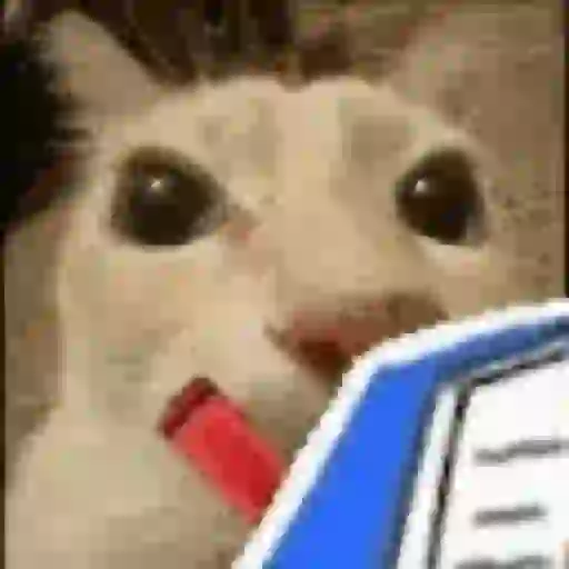 DuduXGif12 28