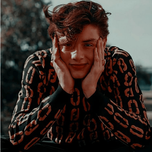 Louis 5