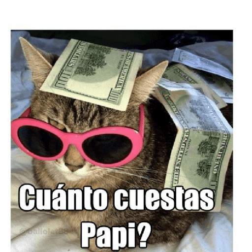 Para mí novio 10