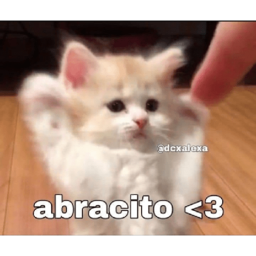 Para mí novio 14