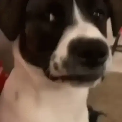 Zzzz 7