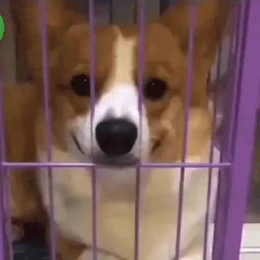 Zzzz 8